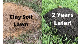 Improve Your Clay Soil Lawn  CRAZY PROOF from Fire Ants [upl. by Hacim590]