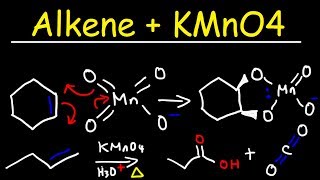 Alkene  KMnO4 Reaction [upl. by Ariuqahs]