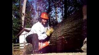 Chainsaw Boring Cut otherwise called a Plunge cut [upl. by Kovacs]