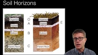 Soil and Soil Dynamics [upl. by Domenic]