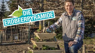 Vertikaler Garten Erdbeerpyramide selber bauen [upl. by Nnairrek]