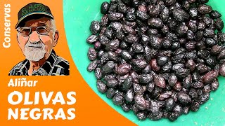 ACEITUNAS 𝗡𝗘𝗚𝗥𝗔𝗦 CÓMO ALIÑAR OLIVAS NEGRAS [upl. by Htezzil]