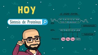 Síntesis de proteínas [upl. by Annet]