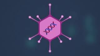 How do AdenovirusBased Vaccines work [upl. by Yann791]