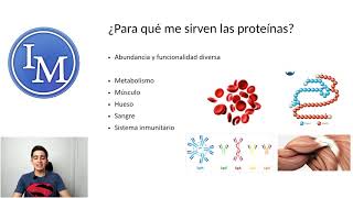 Bioquímica  Aminoácidos y Proteínas  Generalidades [upl. by Winer]