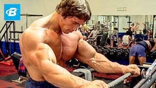 How To Train For Mass  Arnold Schwarzeneggers Blueprint Training Program [upl. by Teena306]