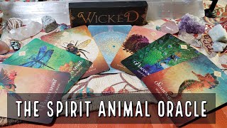 The Spirit Animal Oracle Review [upl. by Chapel]