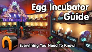 ARK Egg Incubator Guide And How To Use It ARK [upl. by Ybur]