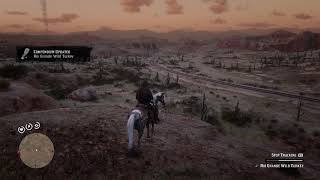 RDR2  End story spoiler Rio Grande Wild Turkey location [upl. by Damha]