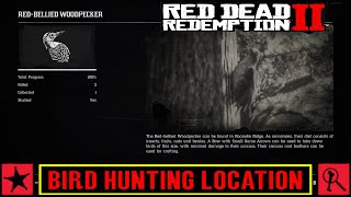 Red Dead Redemption 2 Bird Hunting Location  13 Common amp Rare Birds [upl. by Ardnuyek]