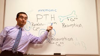 Parathyroid Hormone PTH  a simple Mnemonic [upl. by Elacim]