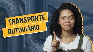 COMO FUNCIONA O TRANSPORTE DUTOVIÁRIO [upl. by Tneicniv]