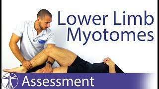 Myotomes Lower Limb  Peripheral Neurological Examination [upl. by Luhem]