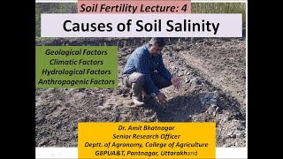 Causes of Soil Salinity [upl. by Auston]