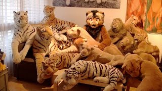 Kitwanas Toys 43 Big Realistic amp Lifelike Lion amp Tiger Plush Toys [upl. by Rosaleen]