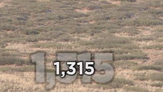 Long Range Hunting  54 KILL SHOTS  Extreme Outer Limits TV [upl. by Clifton168]