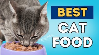 What is Best To Feed Your Cat [upl. by Nnail310]