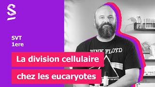 La division cellulaire chez les eucaryotes  SVT  1ere [upl. by Fem419]