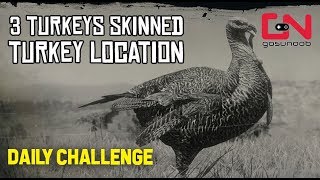 RDR2 Online  3 Turkeys Skinned  Turkey Location  Daily Challenge [upl. by Aliekahs]