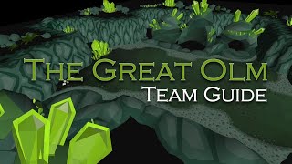 The Great Olm Team Guide  Beginner Tips and Skipping Special Attacks [upl. by Alaik]