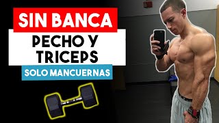 20 Min Rutina de Pecho y Triceps con Mancuernas SIN BANCA  Ejercicios de Pecho y Triceps en Casa [upl. by Tteve]