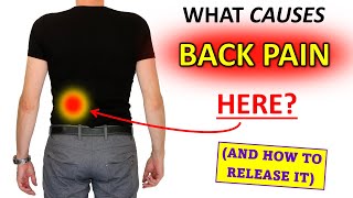 What Causes Lumbar Flank Pain And how to release it [upl. by Lehcnom]