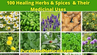 Top 100 Best Healing Medicinal Herbs Spices And Plants Names Health Benefits And Medicinal Uses [upl. by Yetta943]