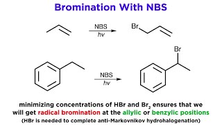 AllylicBenzylic Bromination With NBromo Succinimide NBS [upl. by Tila]