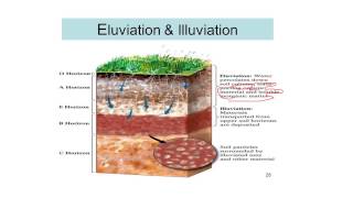 Process of Soil Formation Soil science 12 [upl. by Reni219]