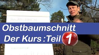 Obstbaumschnitt Der Kurs  Obstbaum schneiden Schritt für Schritt erklärt  Teil 1 Theorie [upl. by Quillan]