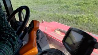 Massey Ferguson windrower Review part 1 [upl. by Darnoc]