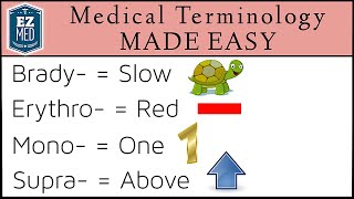 Medical and Nursing Terminology MADE EASY Prefixes Flashcard Tables [upl. by Netsuj]