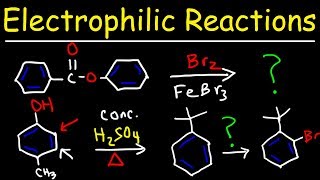 Electrophilic Aromatic Substitution Reactions Made Easy [upl. by Whallon]