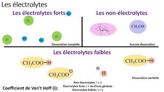 1 2 Les propriétés colligatives [upl. by Giess361]