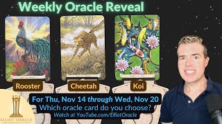 Weekly Oracle Reveal 🔮✨  Tarot Reading for Nov 14 to Nov 20  ElliotOracle 🐓 🐆 🐟 [upl. by Bounds]