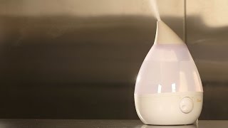 Humidifier Buying Guide Interactive Video  Consumer Reports [upl. by Atiragram]