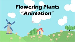 FLOWERING PLANTS Biology Animation [upl. by Esertap759]