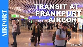 TRANSIT WALK AT FRANKFURT Airport FRA Terminal 1  Connection Flight Transfer Arriving amp Departing [upl. by Laband]