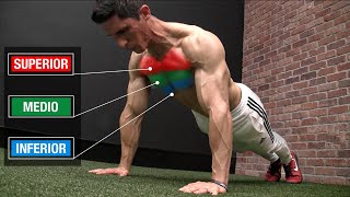 Rutina de FLEXIONES Perfecta 3 NIVELES ¡Pectorales  Pecho [upl. by Amato]