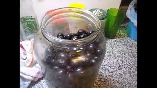 Cómo hacer aceitunas caseras negras 1 [upl. by Lorrimor]