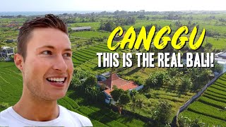 What You Should ACTUALLY Do in Canggu Bali 2024 [upl. by Aehsila]