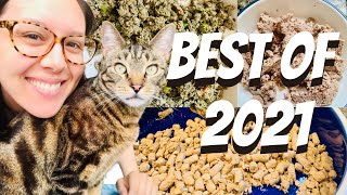 Best cat food brands 2021  Jess Caticles [upl. by Granger]