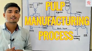 Pulp manufacturing process  Chemical Pedia [upl. by Pavlov]