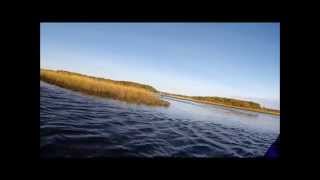 Kayak the Herring River in Harwich MA Cape Cod [upl. by Adnawuj]