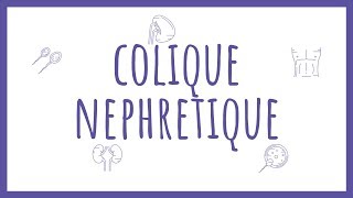 Sémiologie Urologique  La Colique Néphrétique [upl. by Nodnahs]