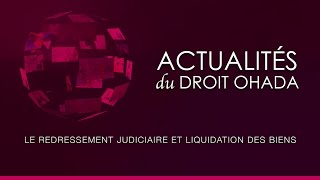 Le redressement judiciaire et la liquidation des biens [upl. by Burner]