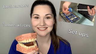 Dental assisting 101 The basics [upl. by Eatton879]