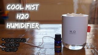 Does This Portable USB H2O Cool Mist Humidifier Actually Work [upl. by Anaderol971]