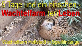 Wachtelfarm Hettstedt in Spielfilmlänge  5 Tage und ein bisschen WACHTELFARM erLEBEN [upl. by Selene729]