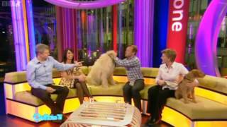 BBC Bloopers  Outtake TV  9042010 [upl. by Etra646]